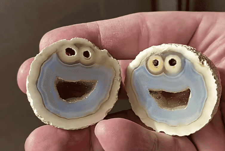 Cookie Monster Rock