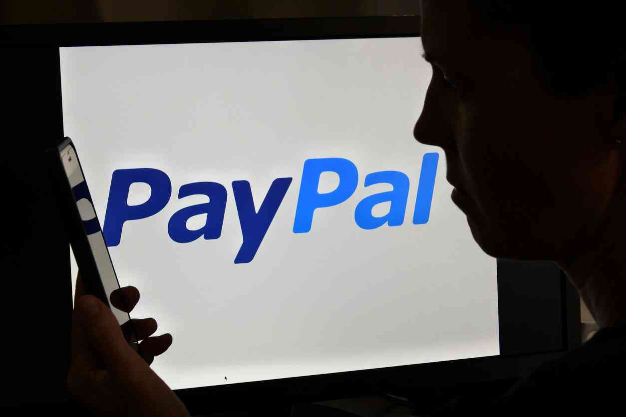 Fake Paypal Login Pages