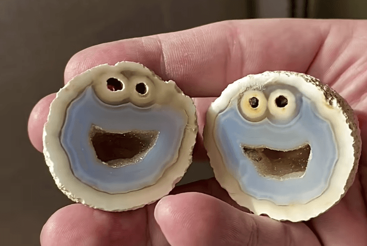 Cookie Monster Rock
