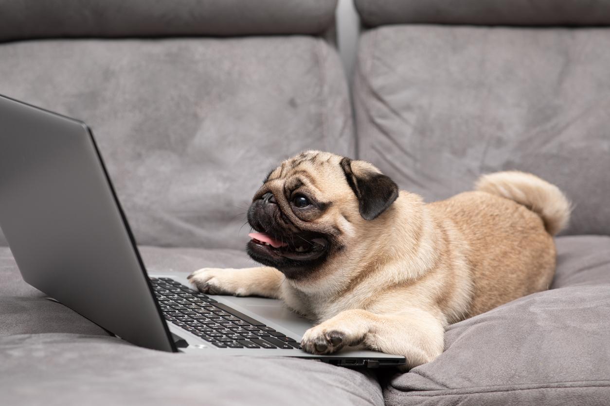 Voyager, Amazon, Costco, Walmart, and Louis Vuitton — Top Phishing Scams of the Week