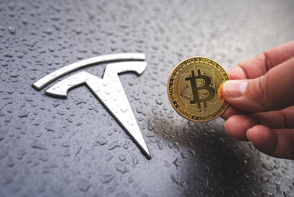 Scam Alert: Teslatrading[.]org