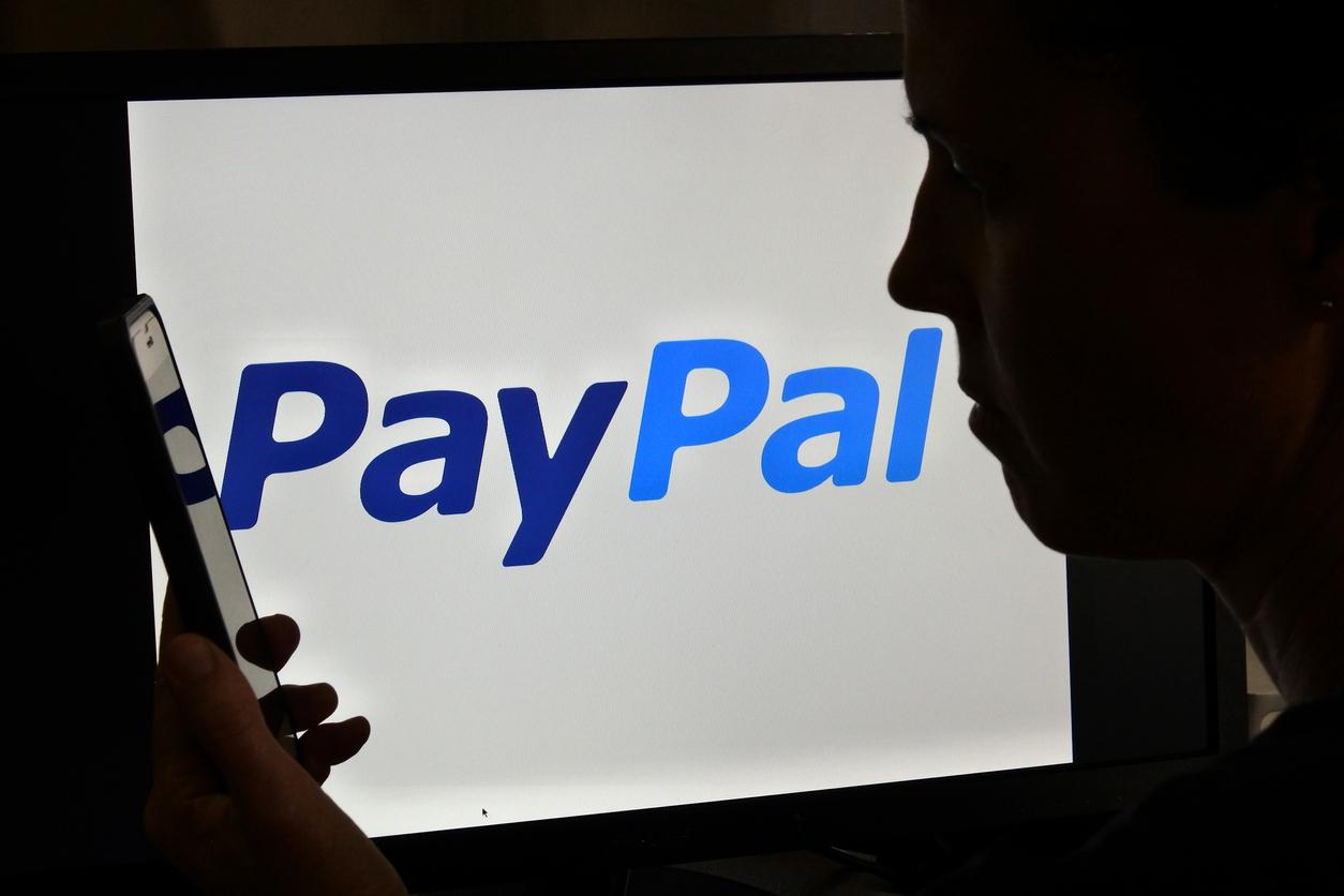 Fake Paypal Login Pages