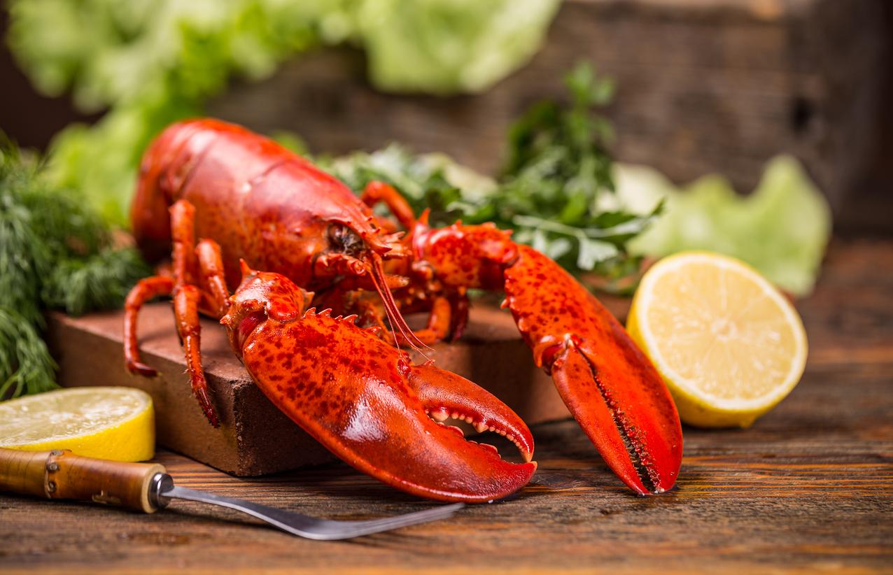 top maine lobster scam
