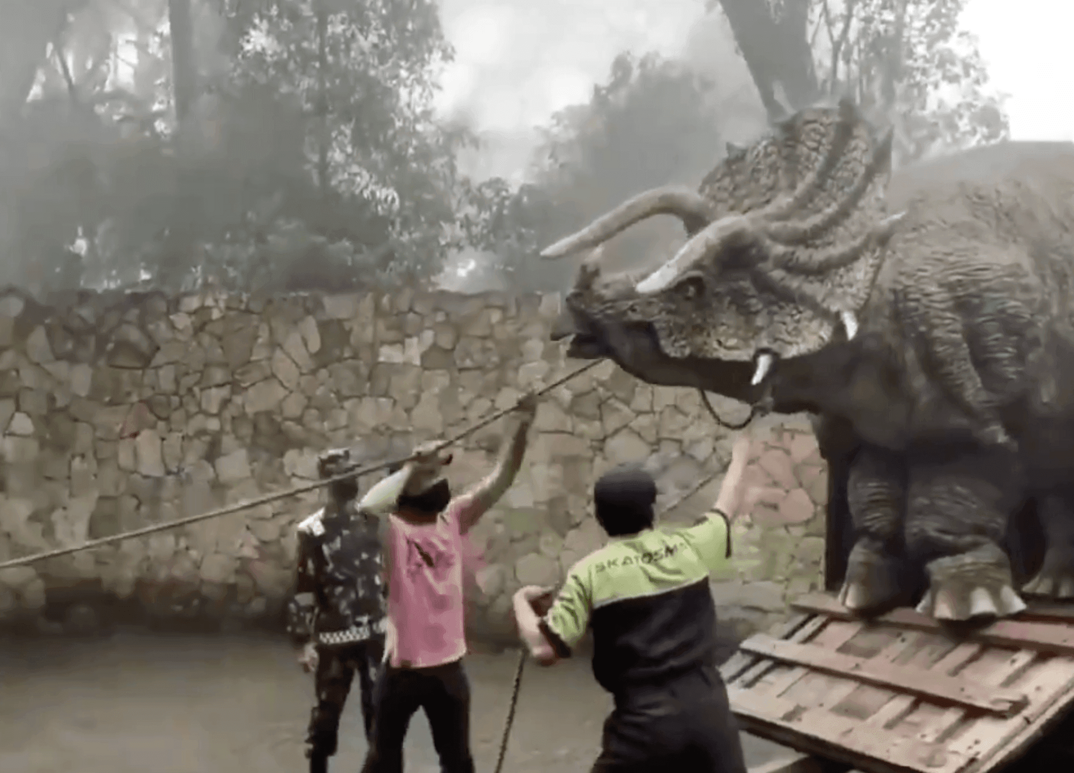 triceratops